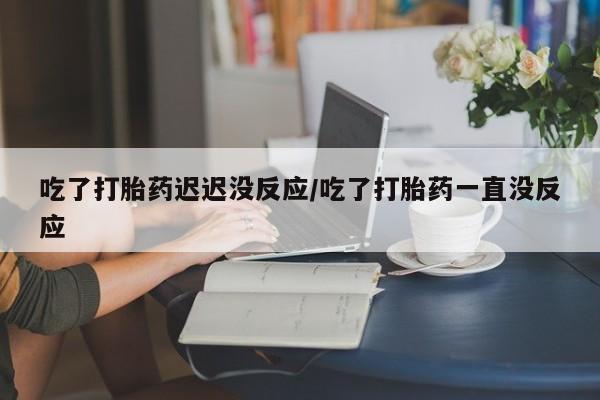 米非米索私人微信吃了打胎药迟迟没反应/吃了打胎药一直没反应