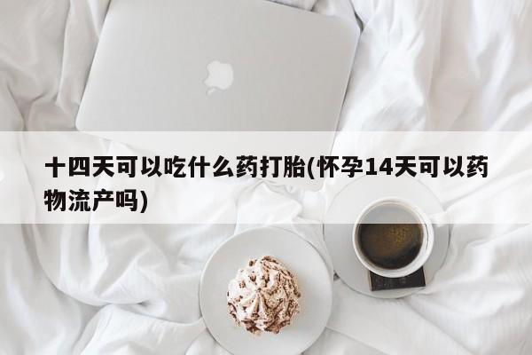 米非米索私人微信十四天可以吃什么药打胎(怀孕14天可以药物流产吗)